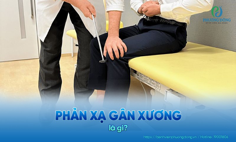 Phản xạ gân xương là một phản ứng tự động của cơ thể