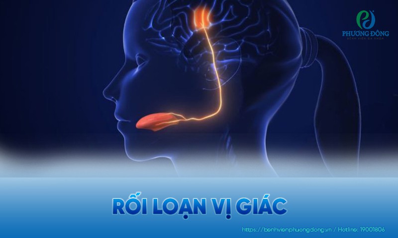 Rối loạn vị giác: Phân loại, nguyên nhân và hướng điều trị