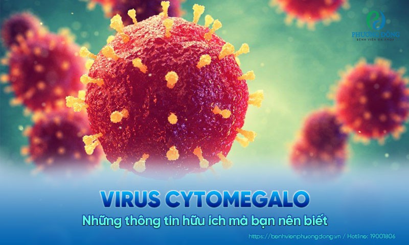 Những thông tin chi tiết về Virus Cytomegalo (CMV) mà bạn nên biết