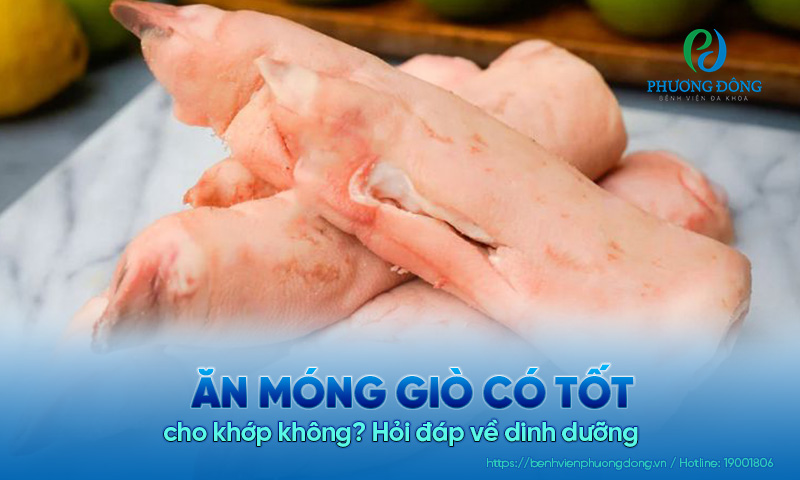 Hỏi đáp về dinh dưỡng: Ăn móng giò có tốt cho khớp không?
