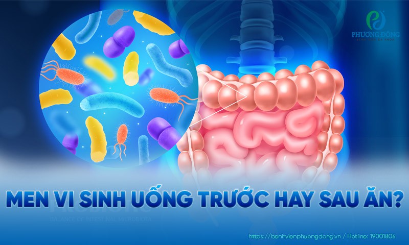 Men vi sinh uống trước hay sau ăn?