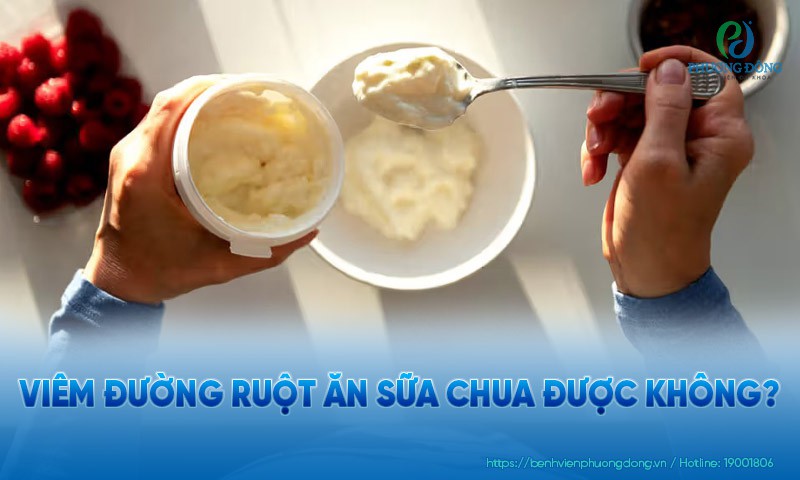 Viêm đường ruột ăn sữa chua được không?