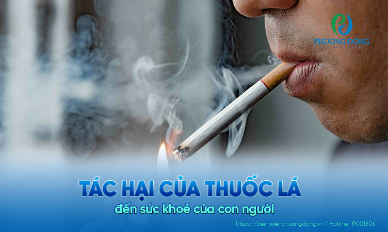 Tác hại của thuốc lá đến sức khỏe của con người