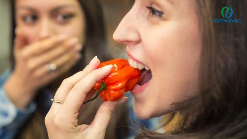 Ăn ớt không gây ra các cơn đau gout cấp tính