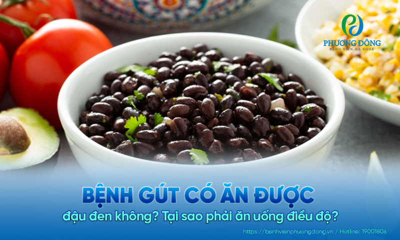 Bệnh gút có ăn được đậu đen không? Tại sao phải ăn uống điều độ?