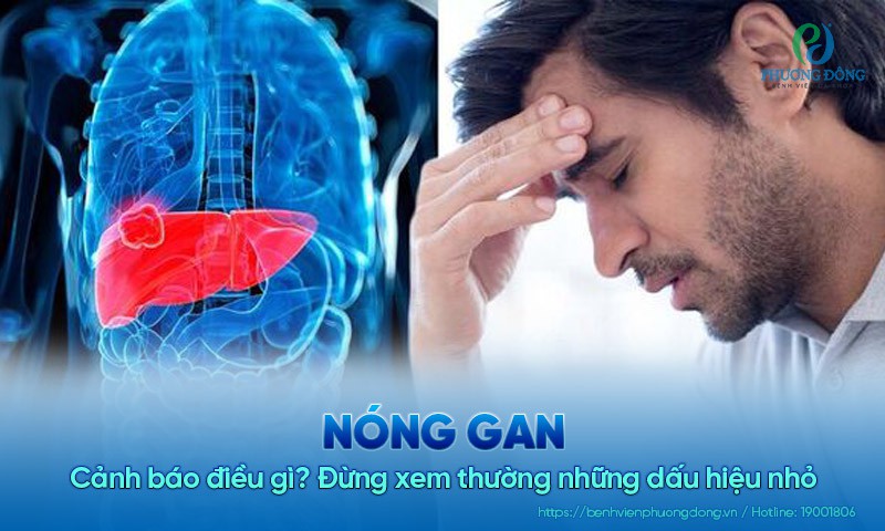 Nóng gan cảnh báo điều gì? Đừng xem thường những dấu hiệu nhỏ