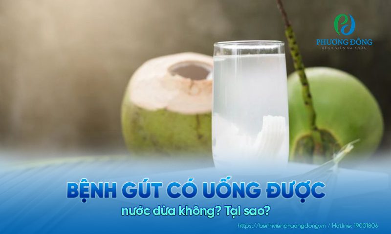 Bệnh gút có uống được nước dừa không? Tại sao?