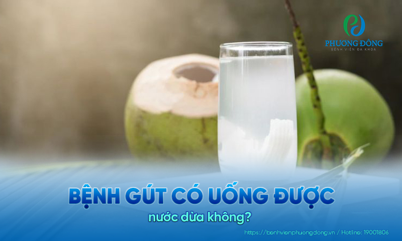 Bệnh nhân gút có thể uống nước dừa với lượng vừa phải