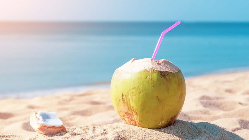 Bạn có thể uống trực tiếp nước dừa tươi