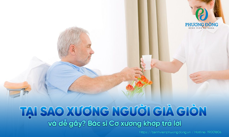 Bác sĩ Cơ xương khớp trả lời: Tại sao xương người già giòn và dễ gãy? Bác sĩ Cơ xương khớp trả lời: Tại sao xương người già giòn và dễ gãy?