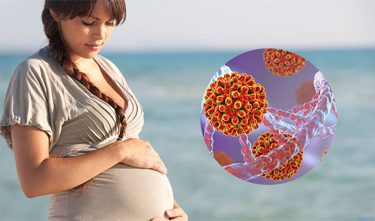Tính an toàn của Tenofovir disoproxil fumarate trong điều trị viêm gan B mãn tính  ở phụ nữ có thai và cho con bú