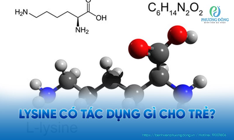 Lysine có tác dụng gì cho trẻ?