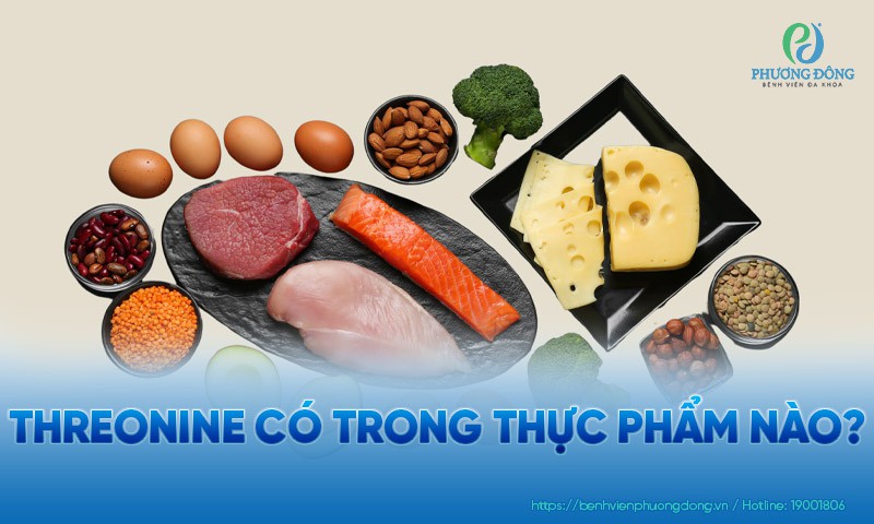 Threonine có trong thực phẩm nào?