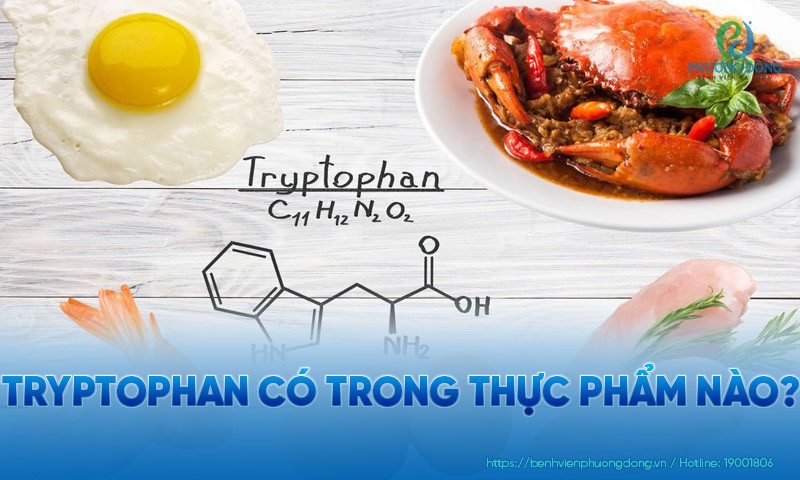 Tryptophan có trong thực phẩm nào?