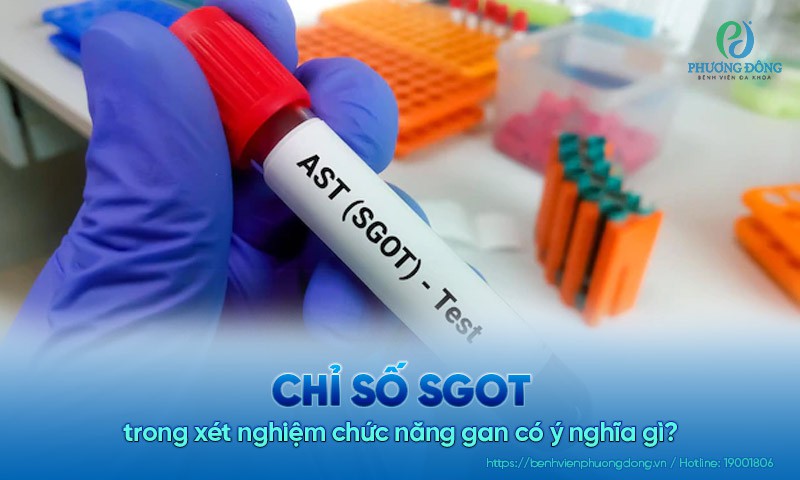 Chỉ số SGOT trong xét nghiệm chức năng gan có ý nghĩa gì?