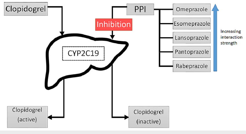 Tương tác thuốc giữa Clopidogrel và thuốc ức chế bơm proton PPI