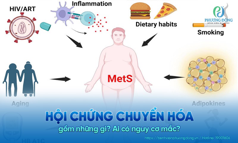 Hội chứng chuyển hóa gồm những gì? Ai có nguy cơ mắc?