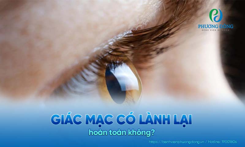 Bệnh nhân hỏi - Bác sĩ trả lời : Giác mạc có lành lại hoàn toàn không?