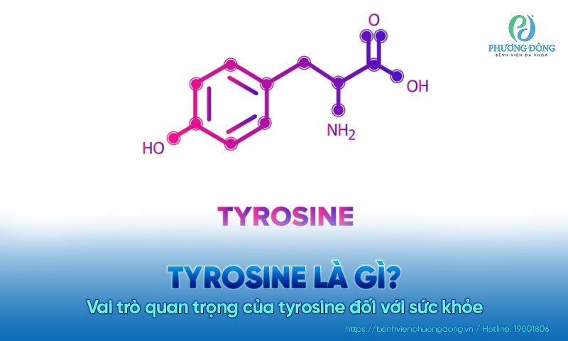 Tyrosine là gì? Vai trò quan trọng của tyrosine đối với sức khỏe