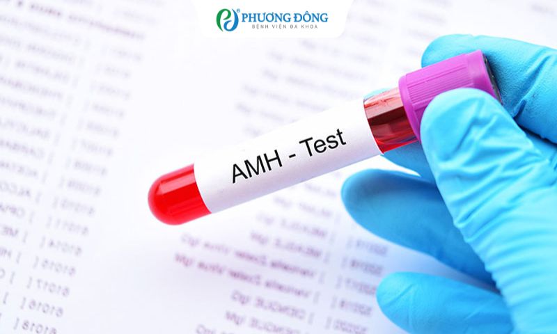 AMH thấp làm được IVF hay không?