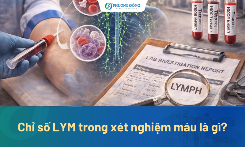 LYM trong xét nghiệm máu là gì? Chỉ số tăng hoặc giảm có ý nghĩa gì?