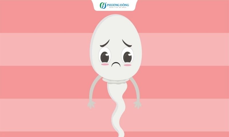 Mức độ tổn thương của tinh trùng quyết định đến chỉ định nên làm IUI hay IVF