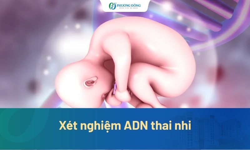 Xét nghiệm ADN thai nhi bằng cách nào chính xác nhất?