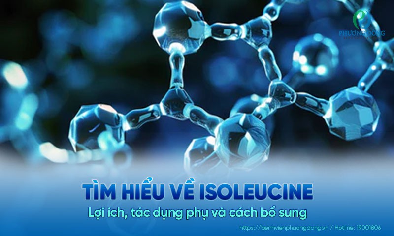 Tìm hiểu về Isoleucine: Lợi ích, tác dụng phụ và cách bổ sung
