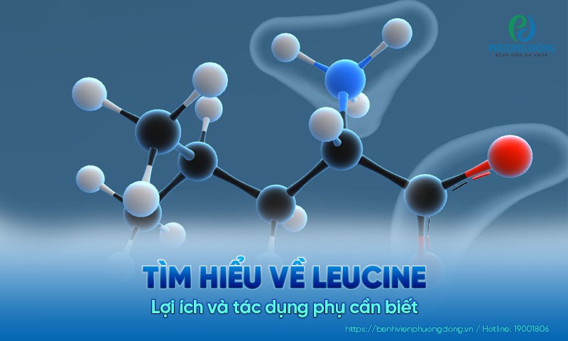 Tìm hiểu về Leucine là gì? Lợi ích và tác dụng phụ cần biết