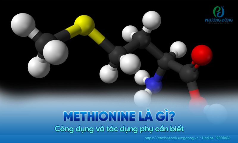 Methionine là gì? Công dụng và tác dụng phụ cần biết