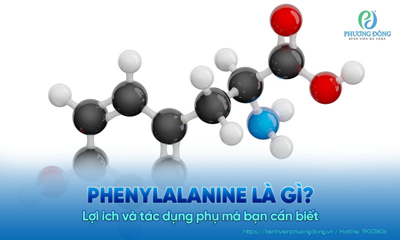 Phenylalanine là gì? Lợi ích và tác dụng phụ mà bạn cần biết