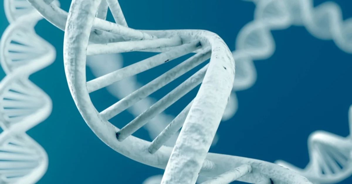 Di truyền là một trong số các nguyên nhân khiến mạch máu phát triển bất thường