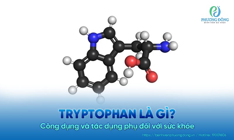 Tryptophan là gì? Công dụng và tác dụng phụ đối với sức khỏe