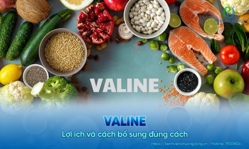 Lợi ích của valine đối với cơ thể và cách bổ sung đúng cách
