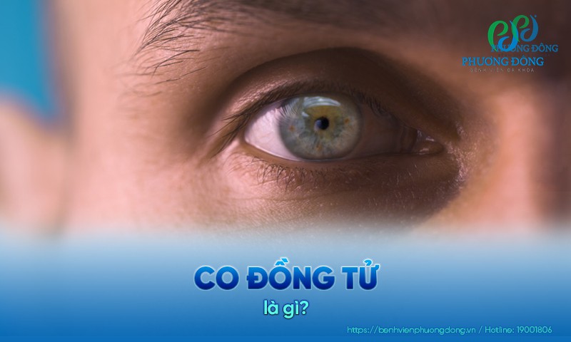 Co đồng tử: Nguyên nhân, điều trị và cách phòng ngừa