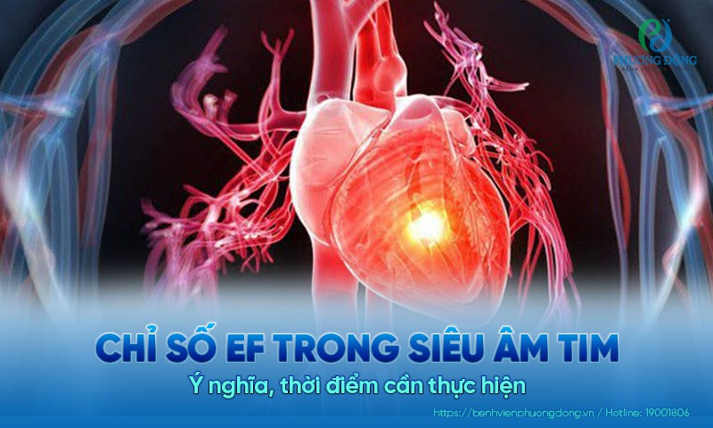 Ý nghĩa của chỉ số EF trong siêu âm tim