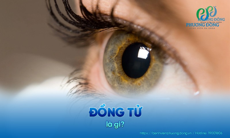 Đồng tử: Kích thước, chức năng và phương pháp kiểm tra