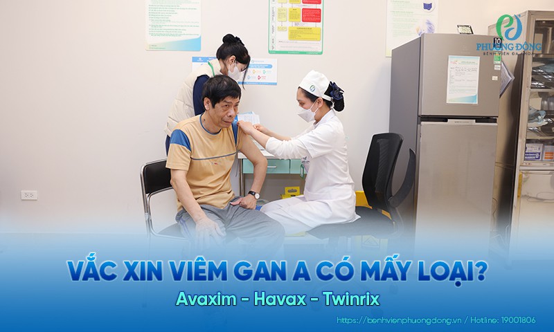 Vắc xin viêm gan A có mấy loại? Chỉ định và chống chỉ định từng loại