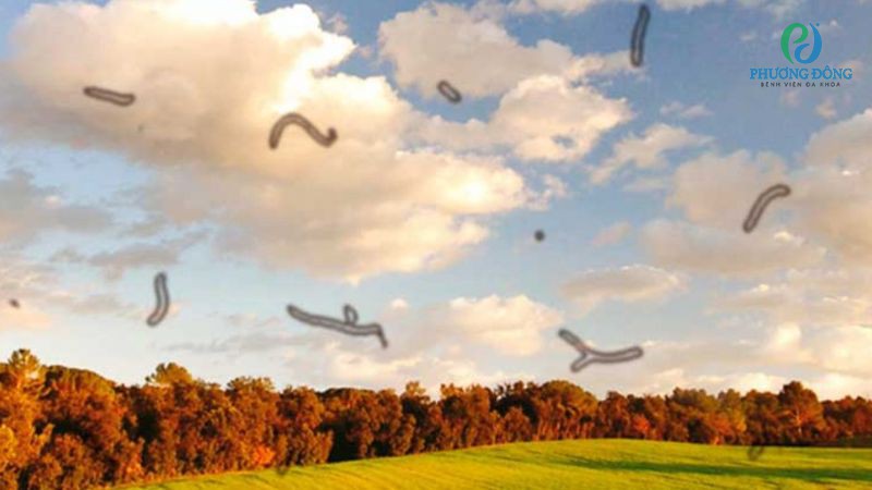 Những dấu hiệu cảnh báo ruồi bay trước mắt cần thăm khám y tế