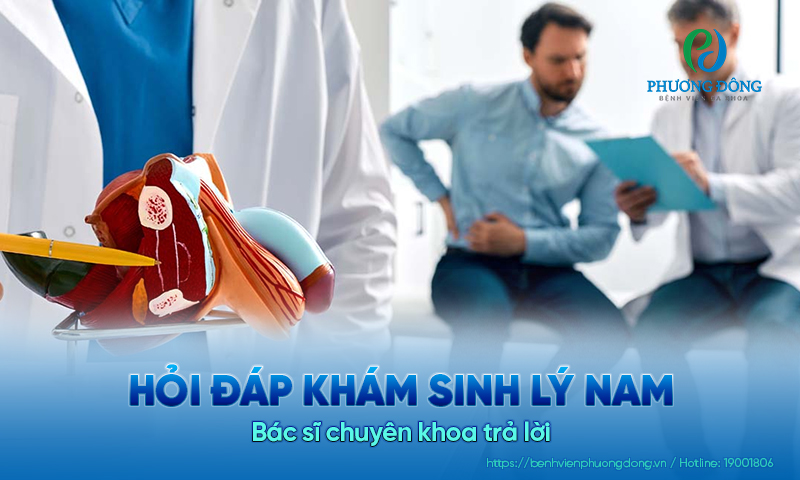 Hỏi đáp khám sinh lý nam: Bác sĩ chuyên khoa trả lời