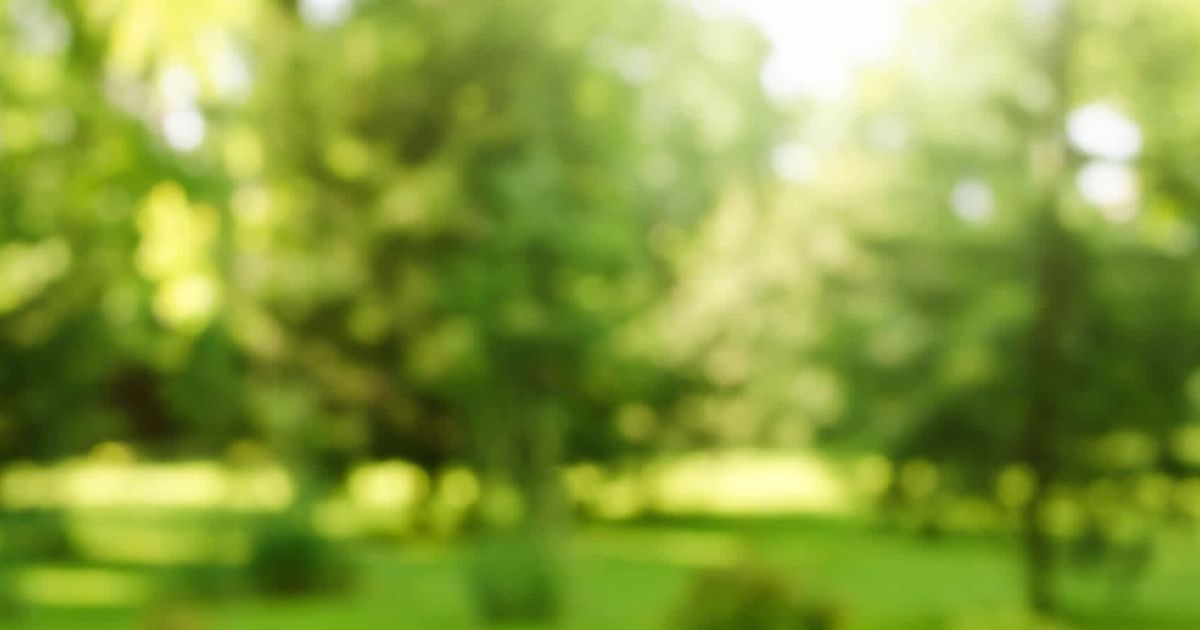 Không ít người bệnh chỉ phát hiện glocom góc đóng khi thị lực đã giảm mạnh