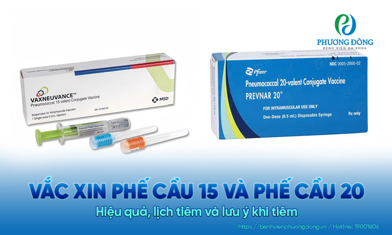 Vắc xin phế cầu 15 và phế cầu 20: Hiệu quả, lịch tiêm và lưu ý khi tiêm 