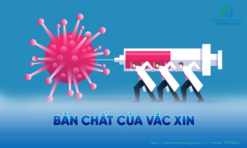 Bản chất của vắc xin: Cơ chế hoạt động và quai niệm sai lầm