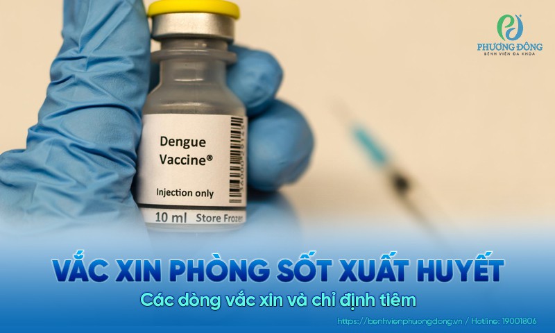 Vắc xin phòng sốt xuất huyết: Các dòng vắc xin và chỉ định tiêm