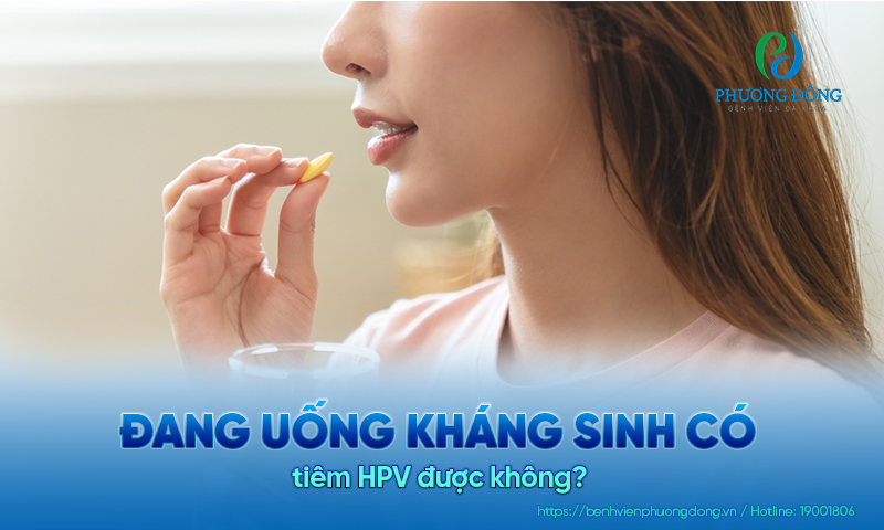 Đang uống kháng sinh có tiêm HPV được không? Tại sao? 