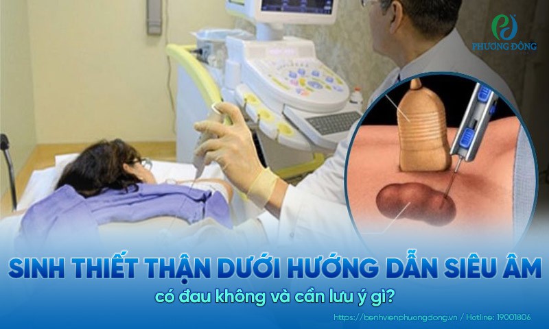 Sinh thiết thận dưới hướng dẫn siêu âm có đau không và cần lưu ý gì?