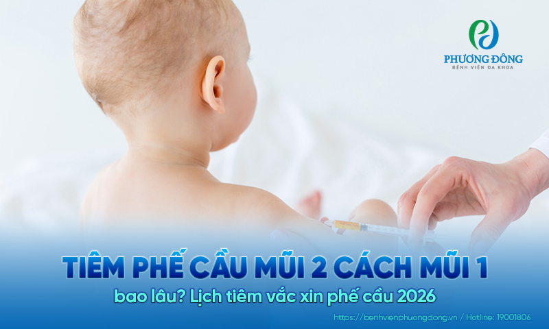 Tiêm phế cầu mũi 2 cách mũi 1 bao lâu? Lịch tiêm vắc xin phế cầu 2026