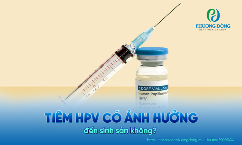 Tiêm HPV có ảnh hưởng đến sinh sản không? Vì sao?