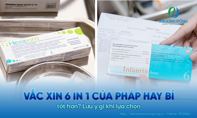 Vắc xin 6 in 1 của Pháp hay Bỉ tốt hơn? Lưu ý gì khi lựa chọn