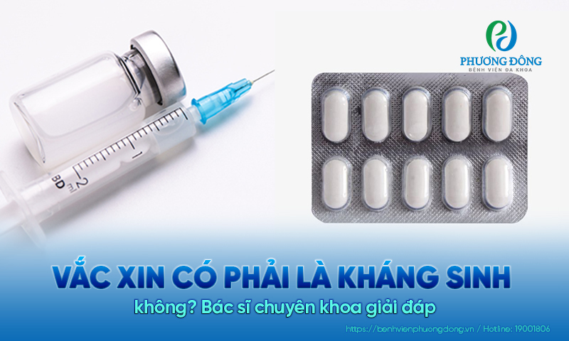 Vắc xin có phải là kháng sinh không? Bác sĩ chuyên khoa giải đáp 
